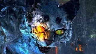 Nioh (仁王) 