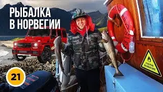 Автобизнес  pro-service. Бизнес идеи. Бизнес дейтелинг