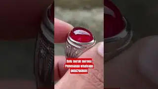 #batuakik #batumerah #batumerahdelima #redraplesia#bacanobi#stone#video #videoshort #fypシ #fyp#ff