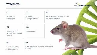 Transgenic Mice in Cancer Research - Creative Biolabs