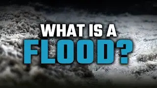 What You Need To Know About Flood