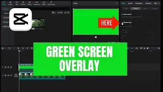 Easy Green Screen Overlay Tutorial for CapCut PC