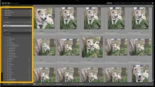 Adobe Lightroom Classic: What&rsquo;s the Difference Between a Catalog, Library, and Collections