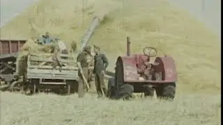 From the Bill Watt 1951 16mm film archives - Harvest at Nanton Alberta