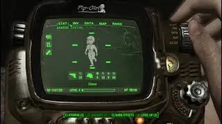Pip-Girl - Limited Edition Pip-Boy Showcase