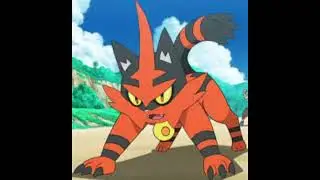 Torracat Custom Mascot Costume Idea Pokemon Sun and Moon