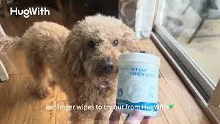 Pet Ear Infection, Itching, or Cleaning Problems? HugWith Wipes Are the Answer!