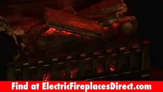 Duraflame 20