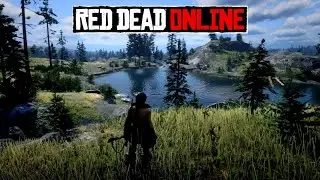 RDO Livestream 01/17/26