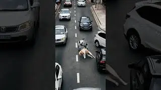 Brave Robot Dog Protect Cars Crash, Saving Dog!