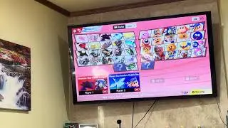 Kirby air riders (both Teen Mario vs Teen Luigi)