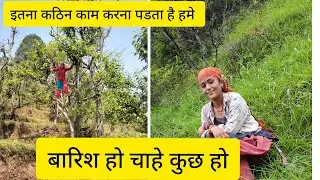 ऐसी लाईफ है हम पहाड़ीयो की  🥺🥺चाहे कुछ भी हो करना ही पडता हैं #pahadilifestyle #daliylog #pahadilife
