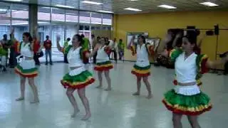 CARRAPICHO EN CORPOICA
