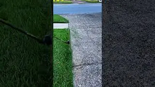 Crisp Sidewalk Lawn Edges and Sharp Grass Borders for Fresh Finish 🌿 | #lawncare #trimming