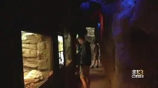New Meadowland Habitat At The Maryland Zoo