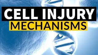 CELL INJURY - MECHANISMS | Dr.Sonu Yadav | Pathology Kingdom | General Pathology