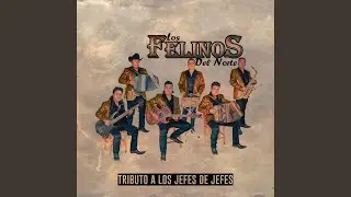 Jefe De Jefes