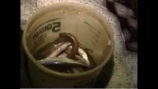 Bill Green's Maine smeltin' in 2006