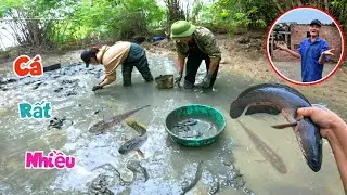 Bắt Được Rất Nhiều Cá Ở Ao Giữa Rừng Vải Và Tin Vui Ông Bạo Đã Trở Về Nhà Cũ / Quế Nghịch