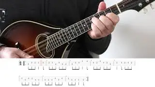 Irish mandolin lessons. The Drunken Gauger