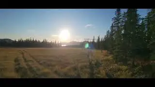 Snake Lake tundra