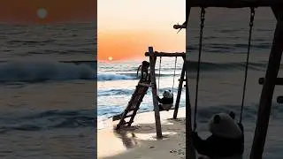 #sunset #animals #play #monkey #panda #birds #beach #kids #fun #love #viral #cute #trending #shorts