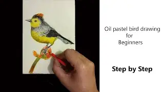 How to Draw Bird |  Oil pastel bird drawing |
