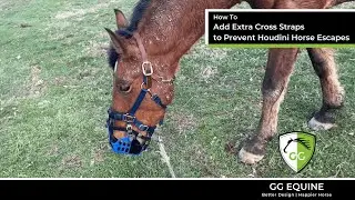 How to use Corner Straps to prevent determined horses form sneaking out the corners of the GG muzzle