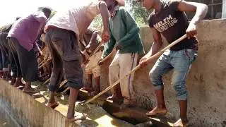 Ethiopian Washed Coffee
