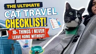 The Ultimate Cat Travel Checklist: 10 Things I NEVER Leave Home Without! ✈️ | PrettyLitter Support