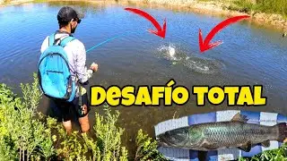 PESCA en URUGUAY, LOCURA TOTAL!!! LAS primeras TORNASOLES de la TEMPORADA
