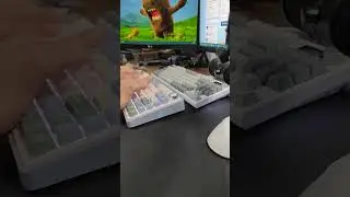 K86 vs F75 - sound test
