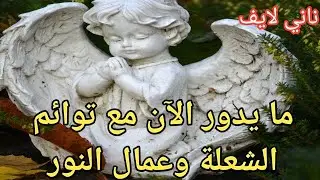 مايحدث الآن لتوائم#الشعلة وبذور النجوم/عمال النور /الزوهريين/الروحانيين وتغييرات قادمة#twinflame
