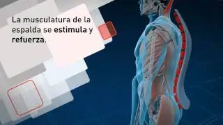 Miotech System: Adi&oacute;s al dolor de espalda en Centros BodyOn