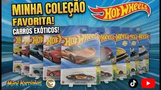 Hot Wheels (Full Set) HW Exotics + Super T-Hunt