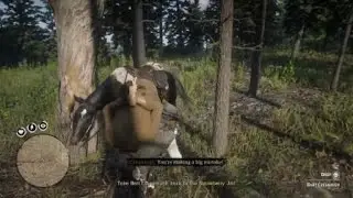 He was in fact: After the bounty