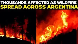 Argentina Fire LIVE: Thousands Affected As Wildfire Spreads Across Northern Argentina | Argentina