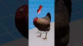 3 Animals That Can Live Without a Head 😱