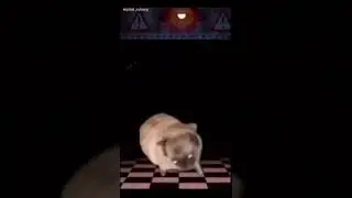 Pug dancing fnaf
