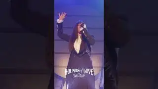 Hounds Of Love - The Kate Bush Celebration - 2026 Tour Promo