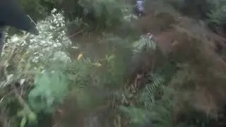 BUSH AIRSOFT in New Zealand.