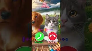 Beautiful ringtone ❤️💯🐕🐱#ringtone #cat #calling #iphone #cartoon #shorts #shortvideo #viralshort