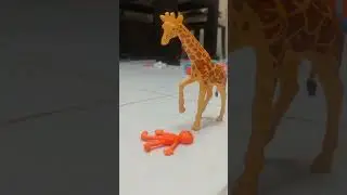 bruh