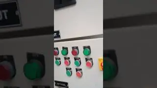 the 