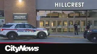 Jewellery store thieves sprayed employees with pepper spray during Richmond Hill robbery: police