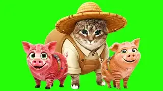 OIIA OIIA LIL BAD PIGGIES Spinning CAT - @XertXetinVEVO