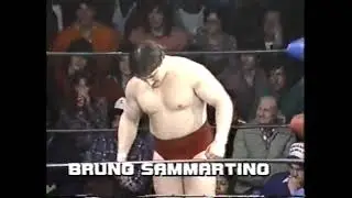 Jim Duggan vs David Sammartino. 1982