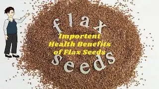 🔸Important Health Benefits of Flax Seeds | Rich in omega -3, Fiber & Plant Based Proteins, Etc.,
