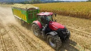 CORN SILAGE 2018 - CASE IH Tractors and MASSEY FERGUSON | CLAAS Jaguar 950