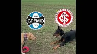 respeita teu pai inter